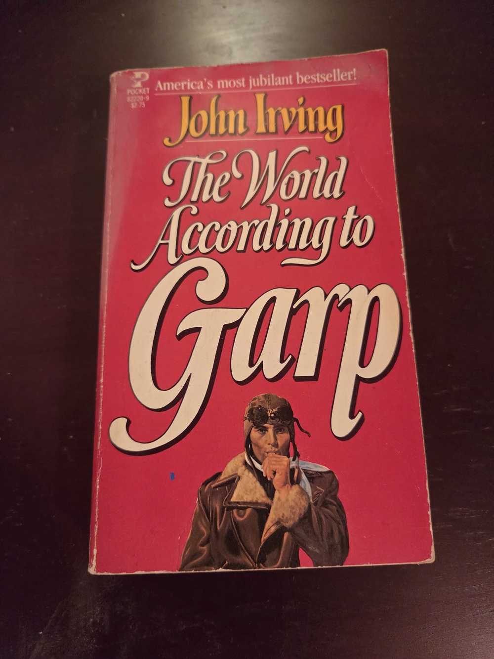 The World According to Garp by John Irving